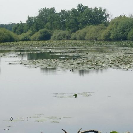 Maison De Ferme Au Calme Jusqu'A 10 Personnes Gannay-sur-Loire المظهر الخارجي الصورة